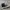 Converse Casual Sneakers Pria white black photo 3