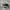 Converse Casual Sneakers Pria White Black