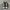 Converse Casual Sneakers Pria white black photo 4