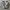 Nike Casual Sneakers Pria white navy photo 3