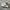 Puma Casual Sneakers Pria white green photo 1