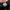 Adidas Sportswear Sweatshirt Pria white black photo 5