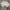 Vivienne Westwood Luxury Avant Garde Corset Wanita white photo 4
