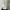 Vivienne Westwood Luxury Avant Garde Corset Wanita white photo 3