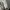 Acme De La Vie  Streetwear Skater Sweatshirt Pria white photo 5