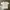 Nasty Fancy Club Streetwear Y2K T-shirt Pria white photo 1