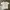 Nasty Fancy Club Streetwear Y2K T-shirt Pria White