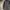 Levi's Streetwear Skater Casual shirt Pria green photo 4