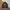 Lacoste Vintage Casual Bomber jacket Pria navy photo 3