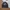 Evisu Casual Bomber jacket Pria black photo 1