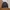 Evisu Casual Bomber jacket Pria black photo 3