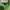 Polo Ralph Lauren Luxury Cosplay Shirt Wanita green photo 7