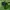 Polo Ralph Lauren Luxury Cosplay Shirt Wanita green photo 6