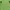 Polo Ralph Lauren Luxury Cosplay Shirt Wanita green photo 3