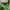Polo Ralph Lauren Luxury Cosplay Shirt Wanita green photo 8