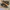 Nike Streetwear Sportswear Sneakers Pria brown black photo 2