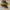 Nike Streetwear Sportswear Sneakers Pria brown black photo 3