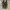 Nike Streetwear Sportswear Sneakers Pria brown black photo 4