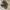 Nike Streetwear Sportswear Sneakers Pria black photo 3
