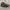 Nike Streetwear Sportswear Sneakers Pria black photo 5