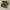 Nike Streetwear Sportswear Sneakers Pria black photo 2
