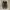 Nike Streetwear Sportswear Sneakers Pria black photo 4