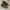 Nike Streetwear Sportswear Sneakers Pria black photo 1