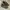 Nike Streetwear Sportswear Sneakers Pria Black