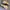 Nike Streetwear Sportswear Sneakers Pria purple cream photo 3