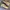 Nike Streetwear Sportswear Sneakers Pria purple cream photo 2