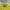 Nike Streetwear Sportswear Sweater Pria yellow photo 4