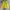 Nike Streetwear Sportswear Sweater Pria Yellow