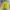 Nike Streetwear Sportswear Sweater Pria yellow photo 3