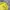 Nike Streetwear Sportswear Sweater Pria Yellow