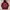 Converse Casual Hoody Pria Burgundy