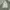 Puma Streetwear Hoody Pria white photo 1