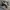ZARA Streetwear Sportswear Sneakers Pria black blue photo 2