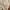 Streetwear Casual Flare pants Wanita tan brown photo 2
