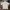 Nike Luxury Casual Polo shirt Pria cream photo 5