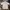 Nike Luxury Casual Polo shirt Pria cream photo 1