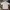 Nike Luxury Casual Polo Shirt Pria Cream
