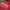 Hollister Casual Hoody Pria red photo 2