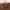 Fieldcore Sportswear Casual Parka Pria multicolor brown photo 6