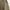 Japanese brand Casual Harrington jacket Pria tan brown photo 5