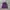 Fruit of the Loom Vintage Hoody Pria purple photo 2