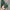 Fruit of the Loom Vintage Hoody Pria green photo 3