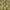 Batik Midi dress Wanita navy yellow photo 4