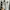 VANS Streetwear Sportswear Sneakers Pria white black photo 2