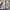 New Balance Minimalist Track jacket Pria white tan photo 3