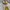 New Balance Minimalist Track jacket Pria white tan photo 4